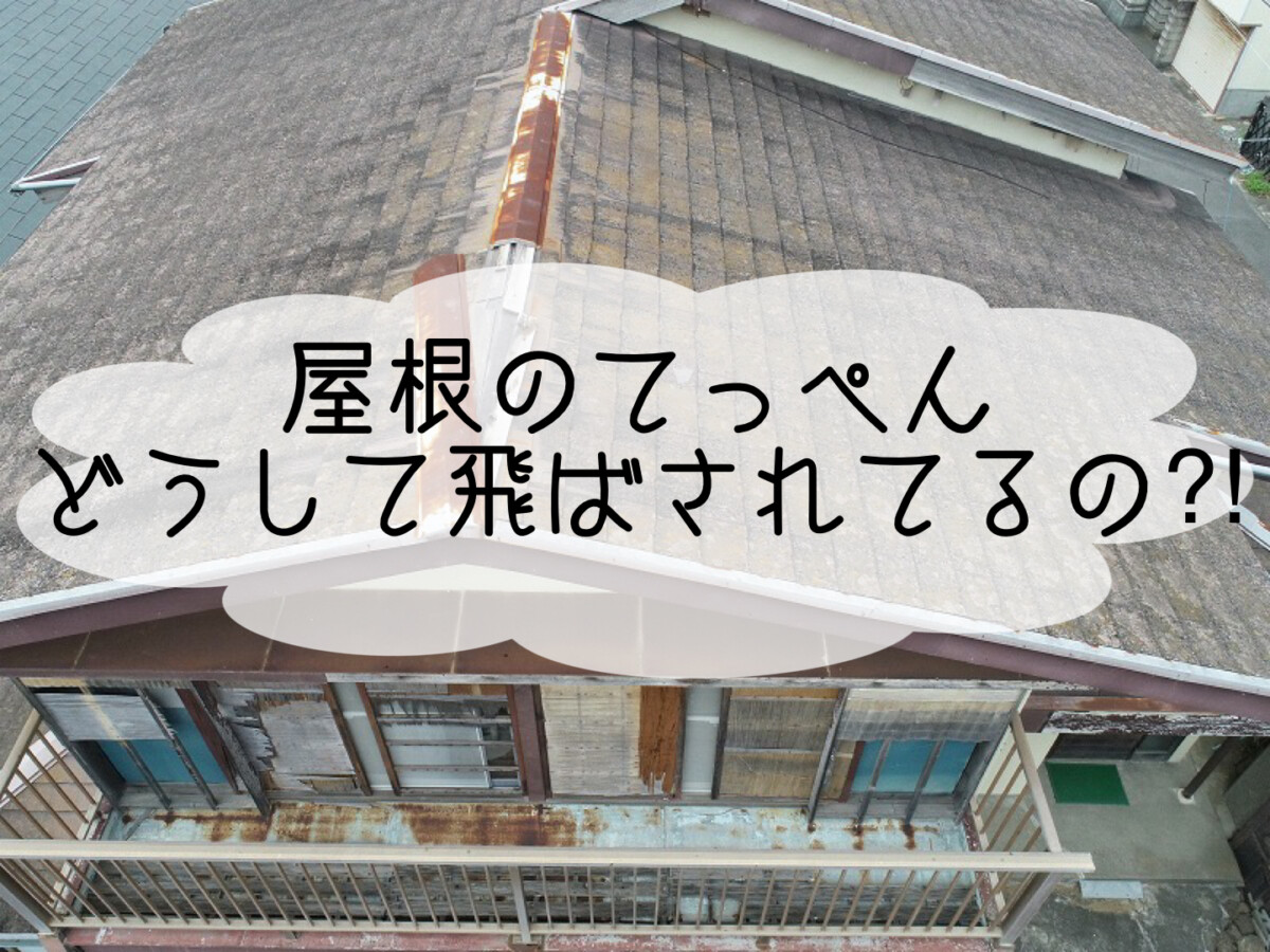 株式会社いらか【屋根のてっぺん・どうして飛ばされる】神奈川県平塚市｜屋根工事・屋根の雨漏り｜元 成田屋商店平塚支店