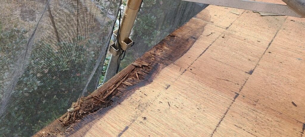 屋根葺き替え工事、既存瓦撤去後の既存野地板の写真