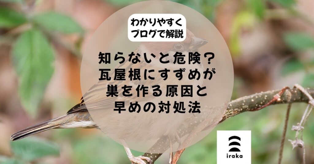 知らないと危険？瓦屋根にすずめが巣を作る原因と早めの対処法｜平塚・株式会社いらか｜屋根専門